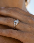 Anillo en Plata 925 con Rodio · Ref. 61