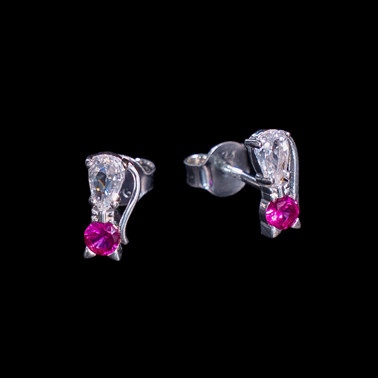 Aretes en Plata 925 con Rodio · Ref. 55